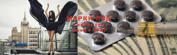 apvp Алзамай