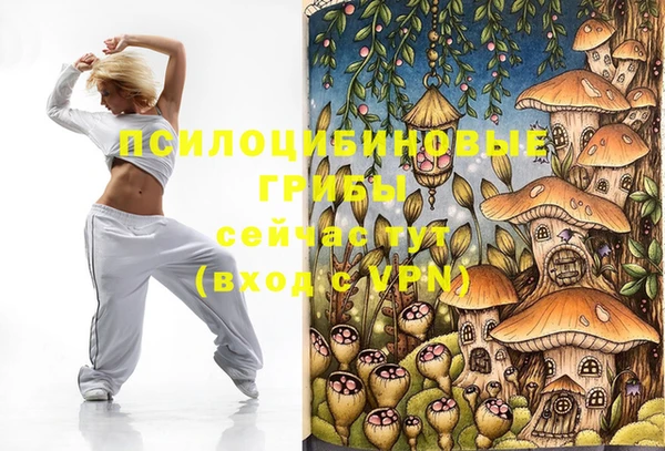 ПСИЛОЦИБИНОВЫЕ ГРИБЫ Алексеевка