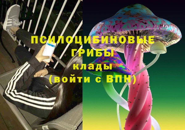 ПСИЛОЦИБИНОВЫЕ ГРИБЫ Алексеевка