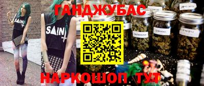 крисы Вязьма