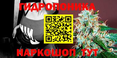 скорость Вышний Волочёк