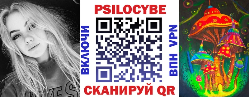 Псилоцибиновые грибы Psilocybine cubensis  где найти   Богородск 