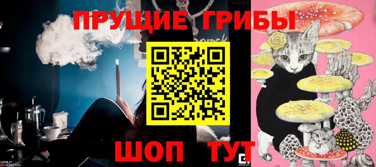 Богородск  Псилоцибиновые грибы Magic Shrooms  Вход с VPN 